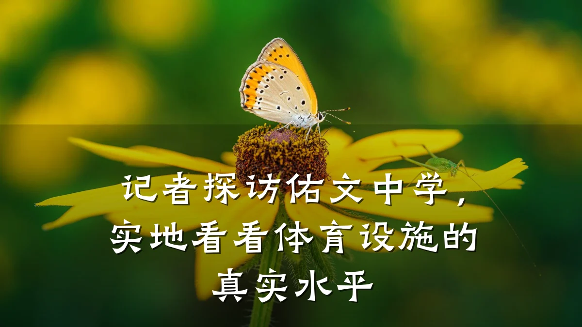 记者探访佑文中学,实地看看体育设施的真实水平