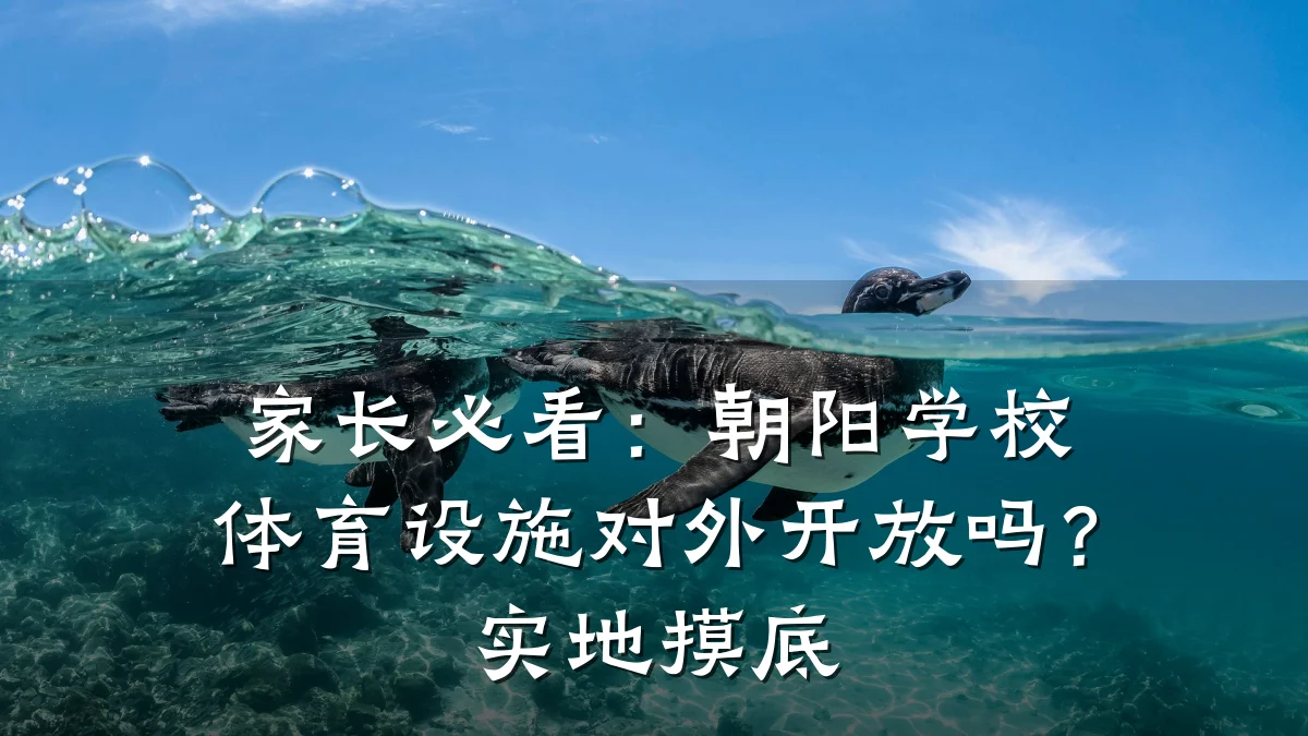 家长必看:朝阳学校体育设施对外开放吗?实地摸底