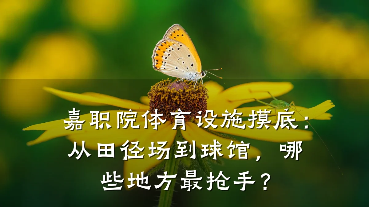 嘉职院体育设施摸底:从田径场到球馆,哪些地方最抢手?