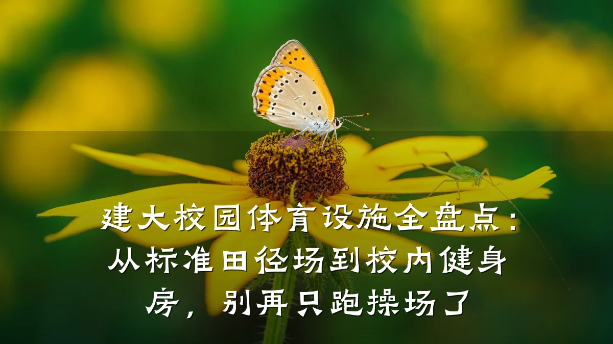 建大校园体育设施全盘点:从标准田径场到校内健身房,别再只跑操场了