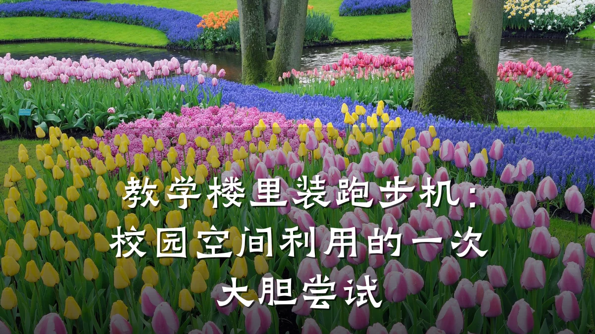 教学楼里装跑步机:校园空间利用的一次大胆尝试
