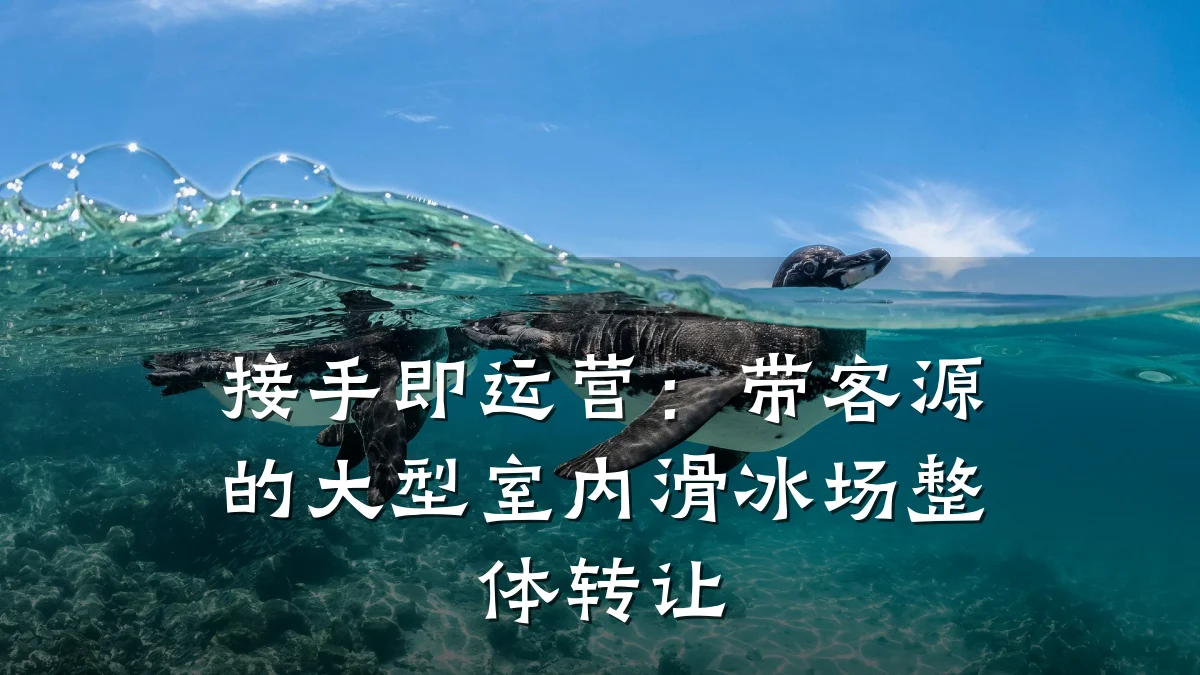 接手即运营:带客源的大型室内滑冰场整体转让