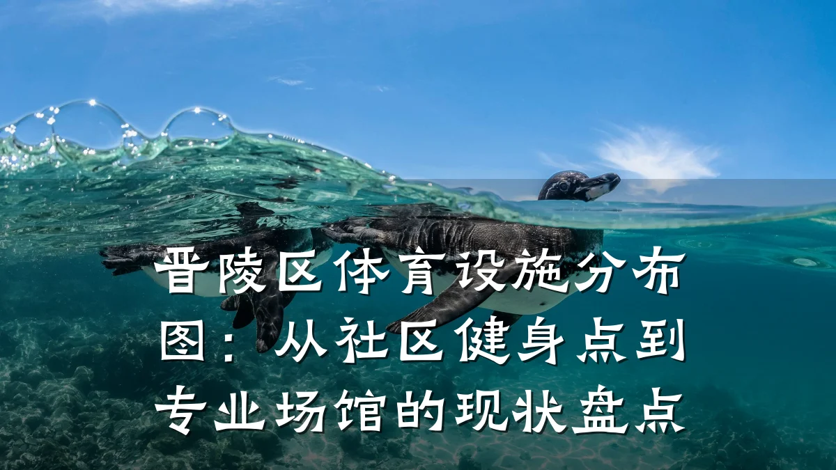 晋陵区体育设施分布图:从社区健身点到专业场馆的现状盘点