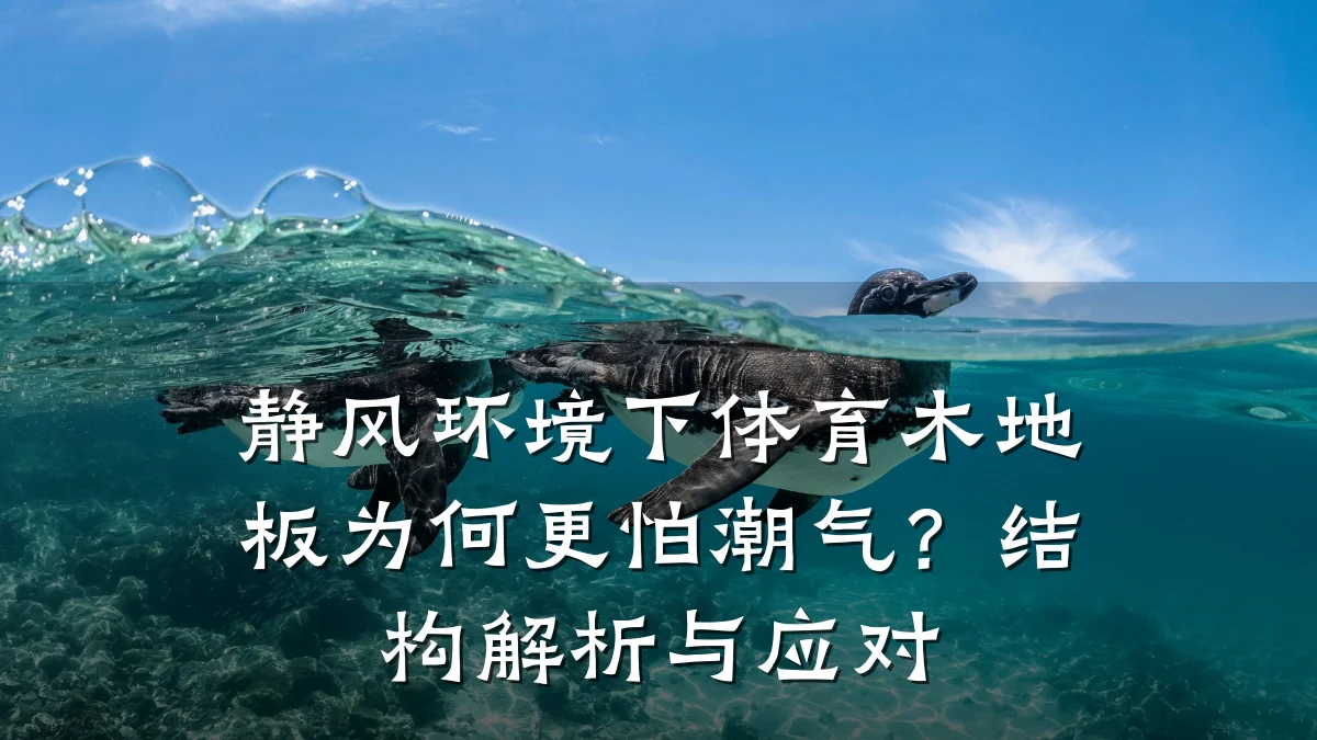 静风环境下体育木地板为何更怕潮气？结构解析与应对