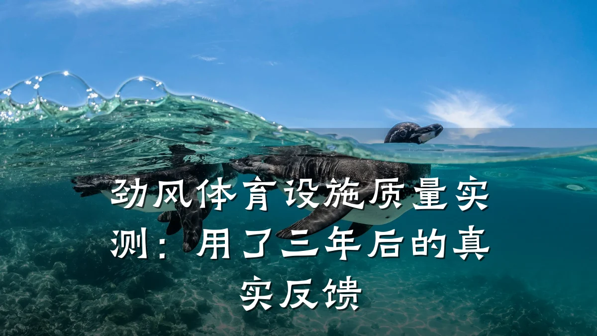 劲风体育设施质量实测：用了三年后的真实反馈