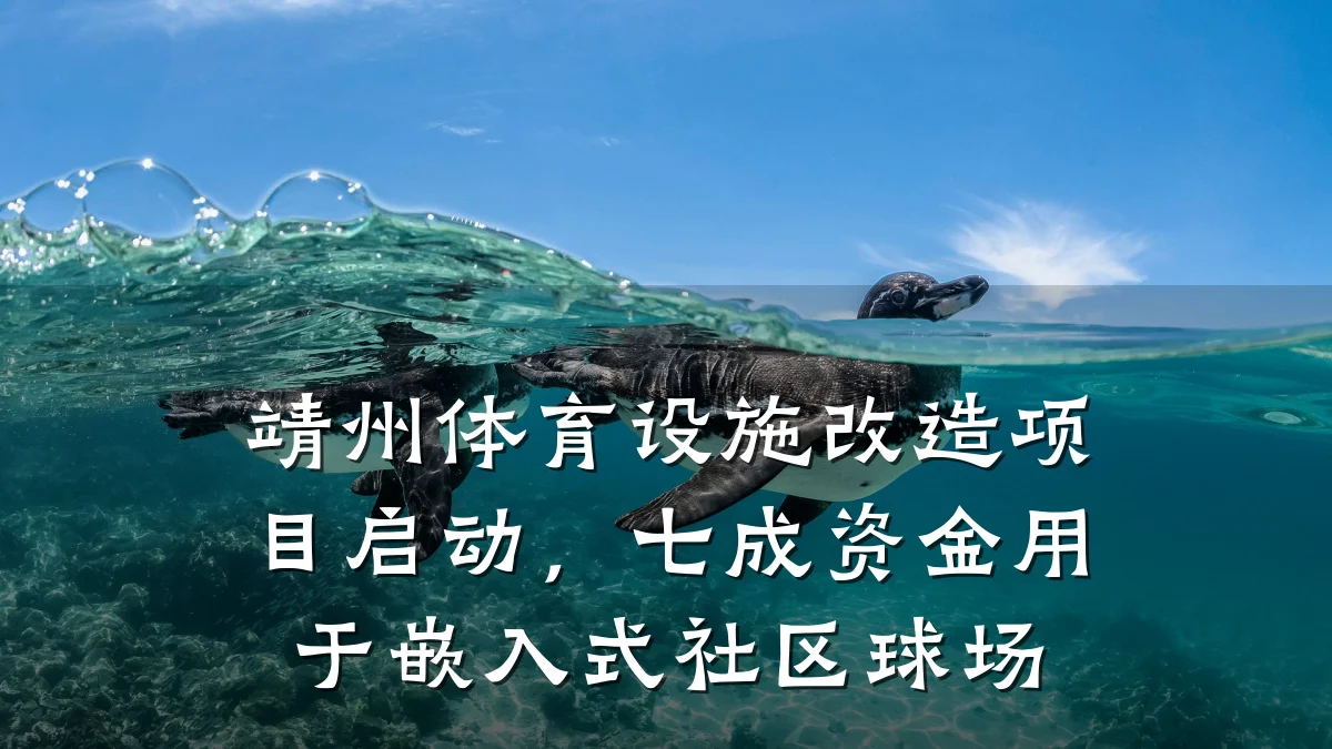 靖州体育设施改造项目启动,七成资金用于嵌入式社区球场