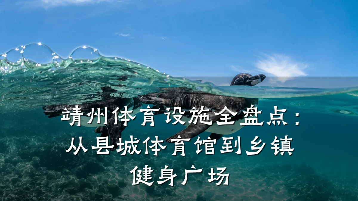 靖州体育设施全盘点:从县城体育馆到乡镇健身广场