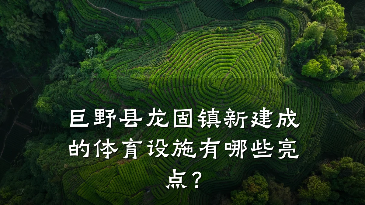巨野县龙固镇新建成的体育设施有哪些亮点?