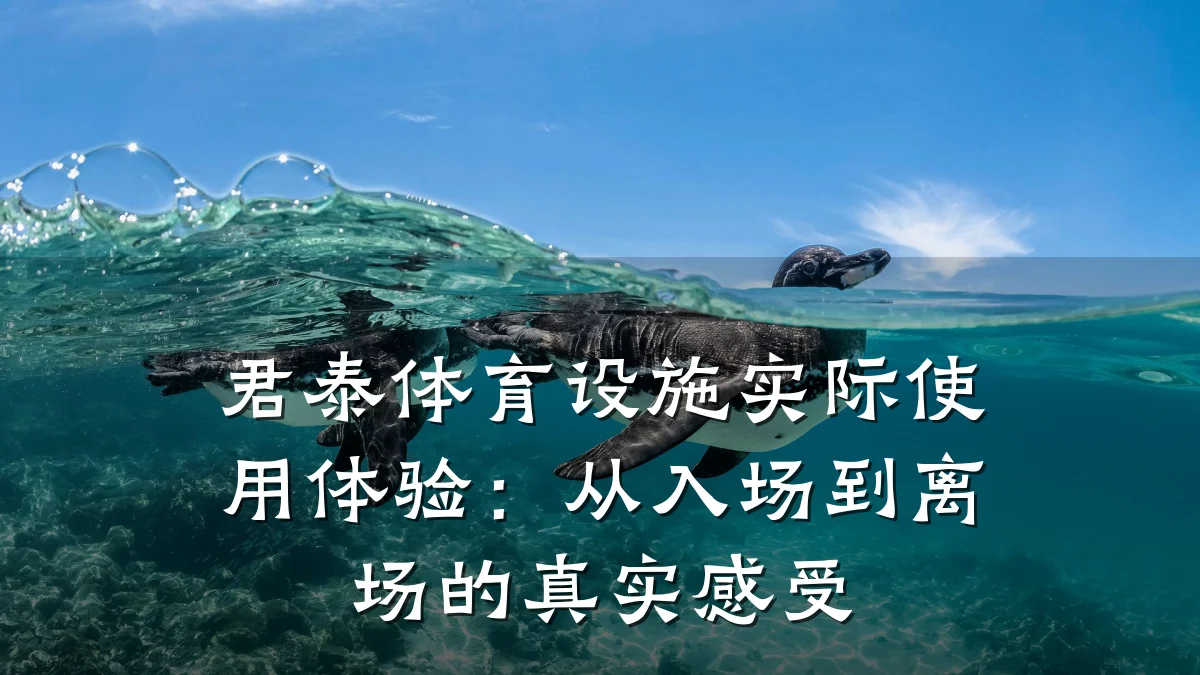 君泰体育设施实际使用体验：从入场到离场的真实感受
