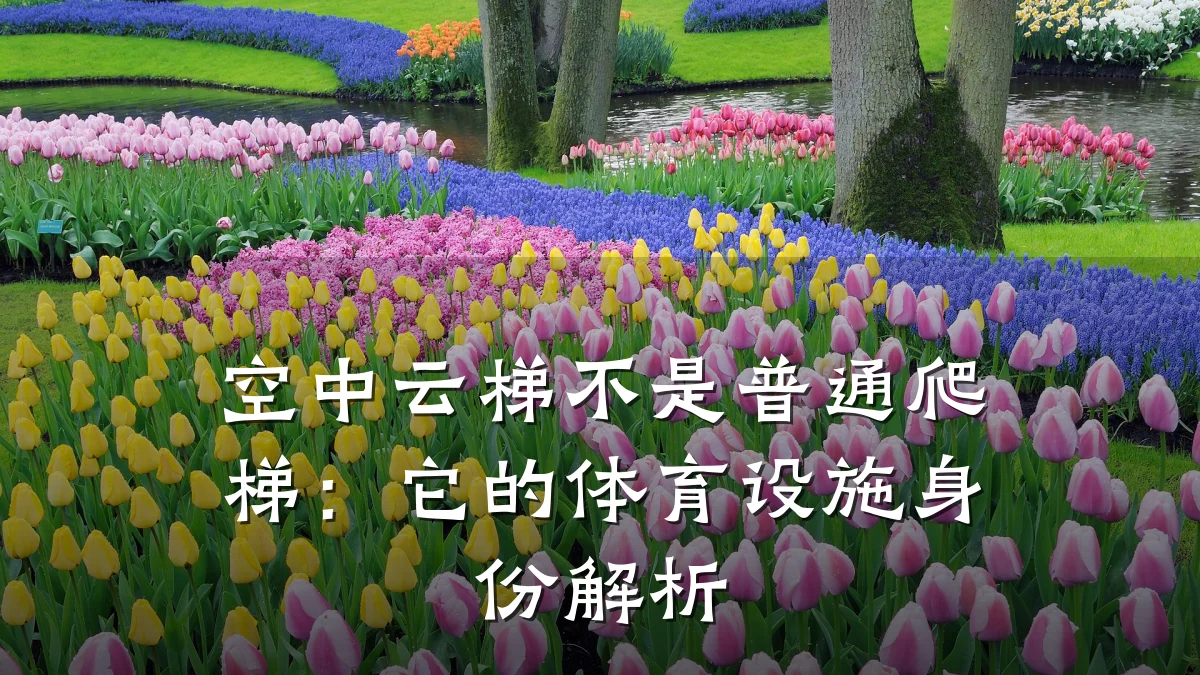空中云梯不是普通爬梯:它的体育设施身份解析