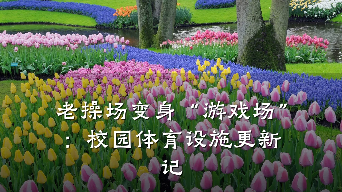 老操场变身“游戏场”:校园体育设施更新记