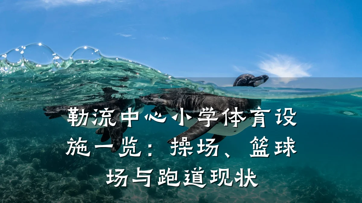 勒流中心小学体育设施一览:操场、篮球场与跑道现状