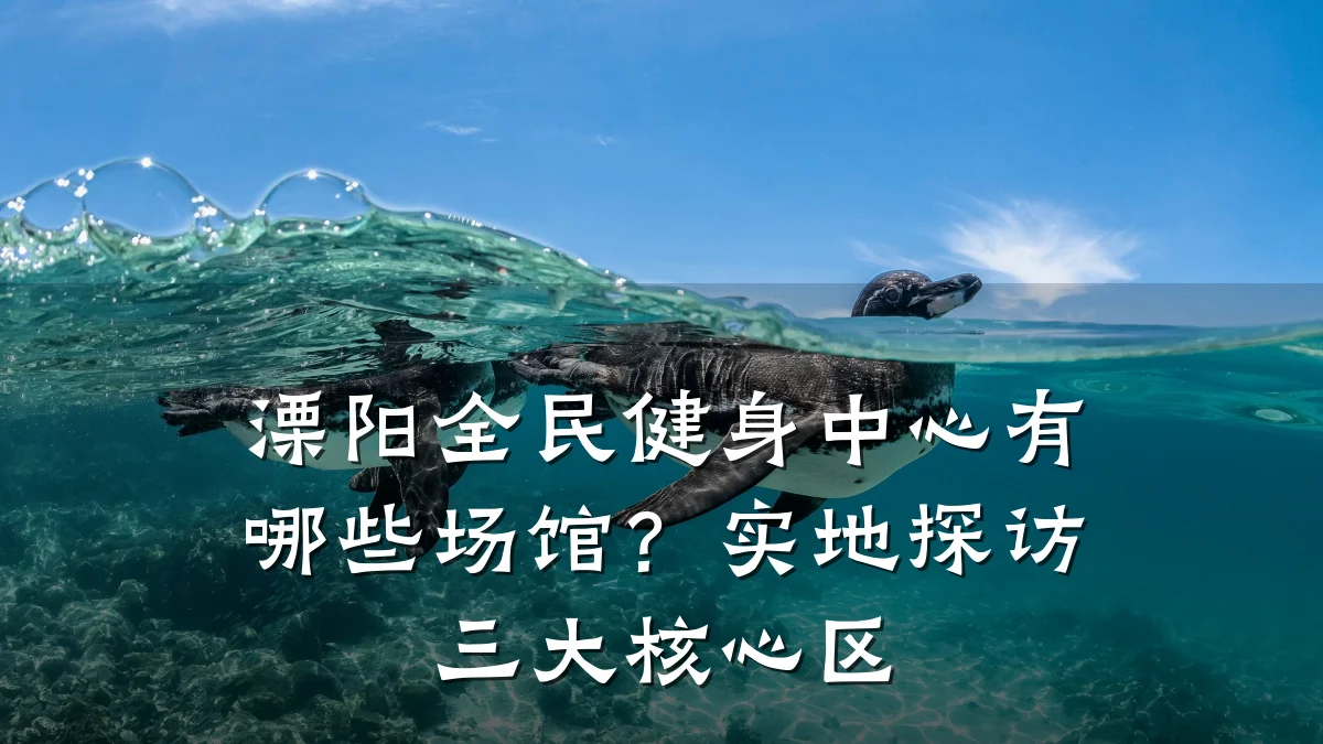 溧阳全民健身中心有哪些场馆?实地探访三大核心区