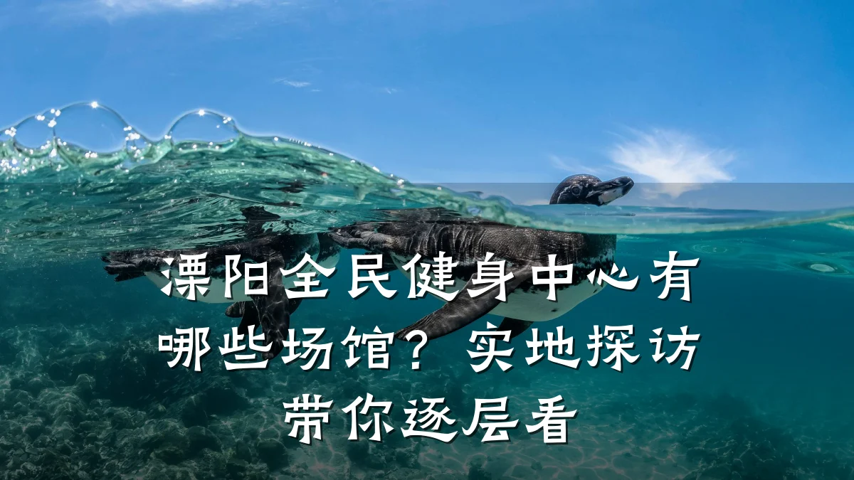 溧阳全民健身中心有哪些场馆?实地探访带你逐层看