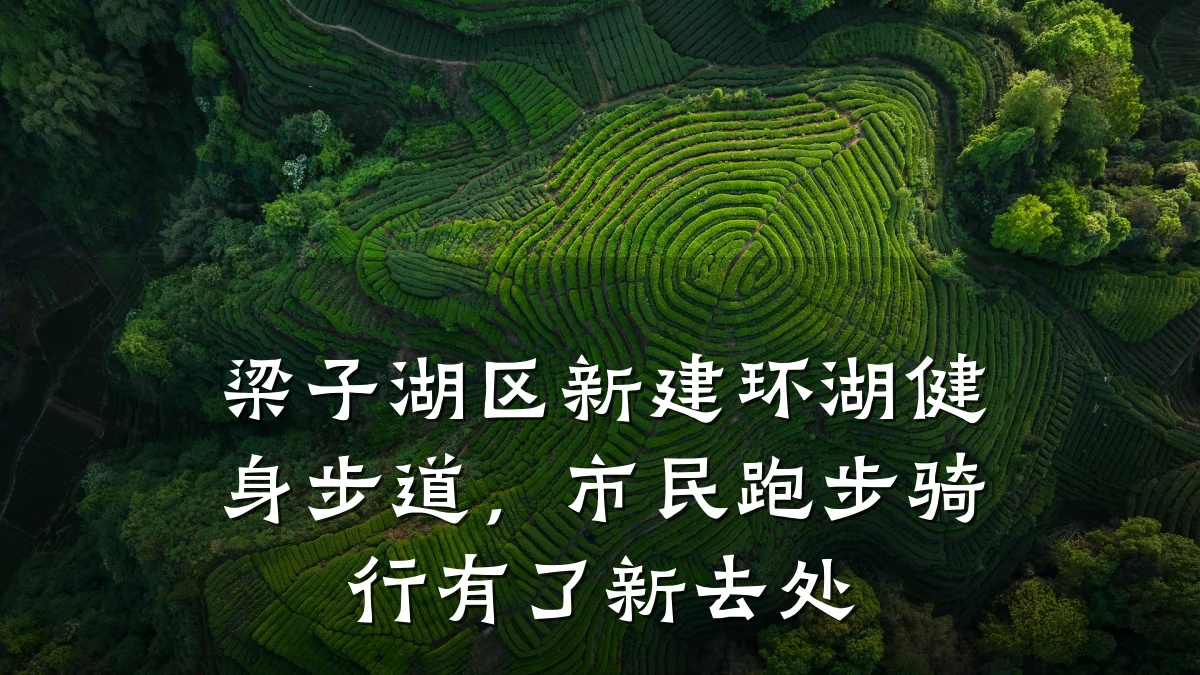 梁子湖区新建环湖健身步道，市民跑步骑行有了新去处