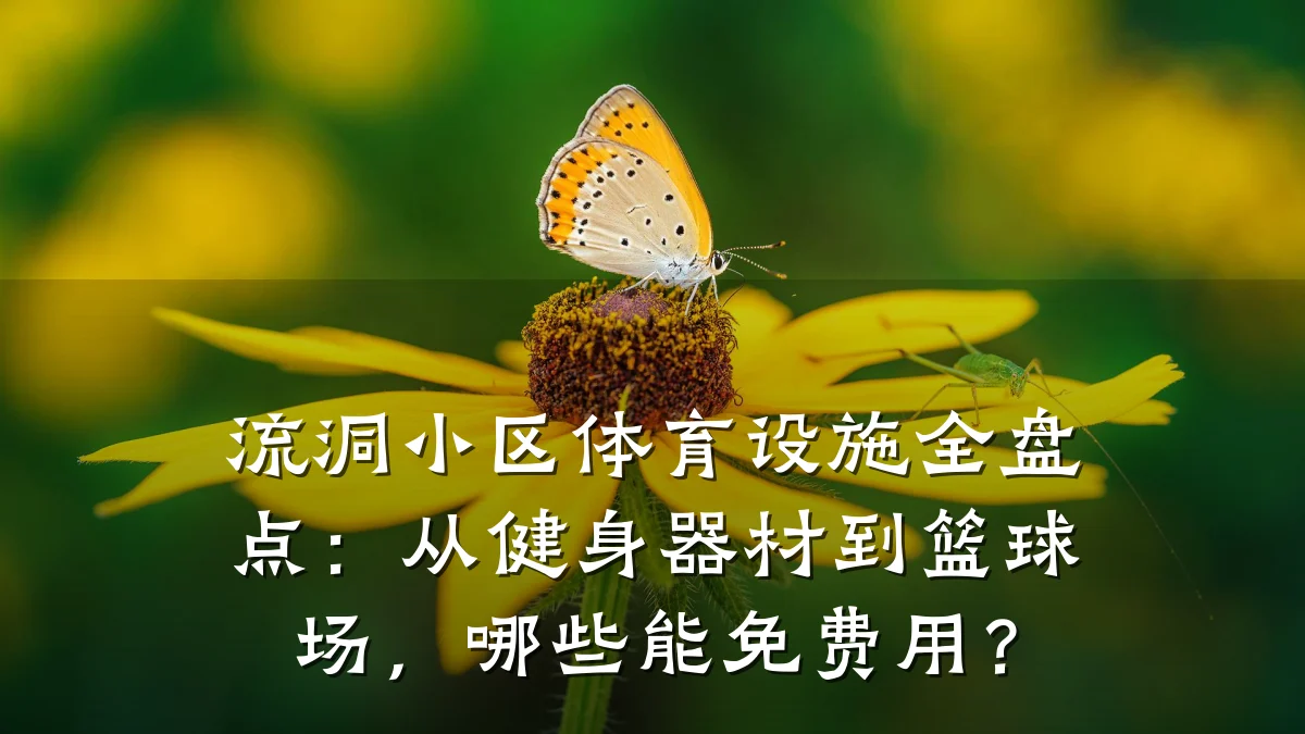 流洞小区体育设施全盘点:从健身器材到篮球场,哪些能免费用?