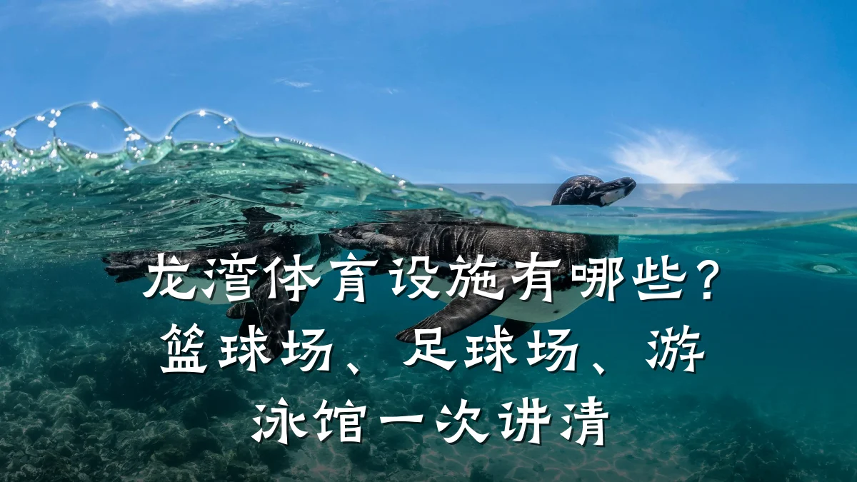 龙湾体育设施有哪些?篮球场、足球场、游泳馆一次讲清