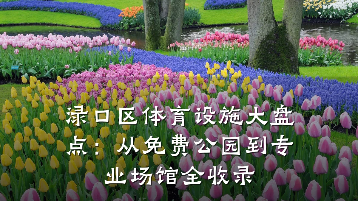 渌口区体育设施大盘点:从免费公园到专业场馆全收录