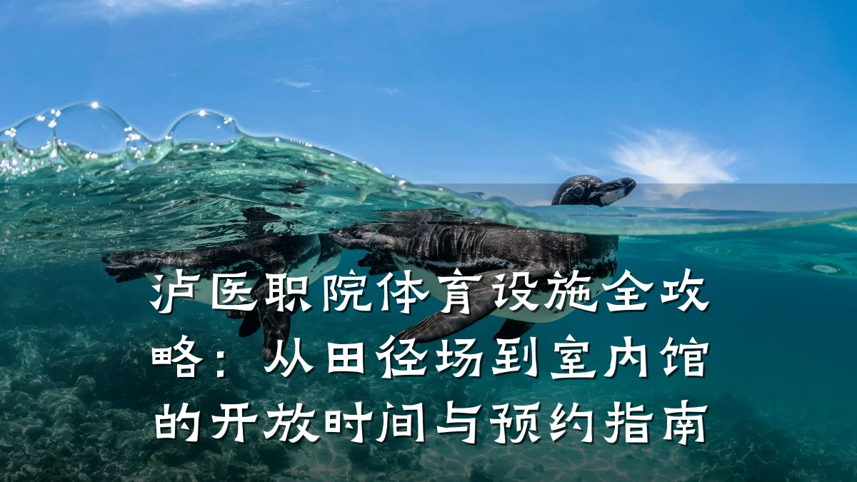 泸医职院体育设施全攻略:从田径场到室内馆的开放时间与预约指南