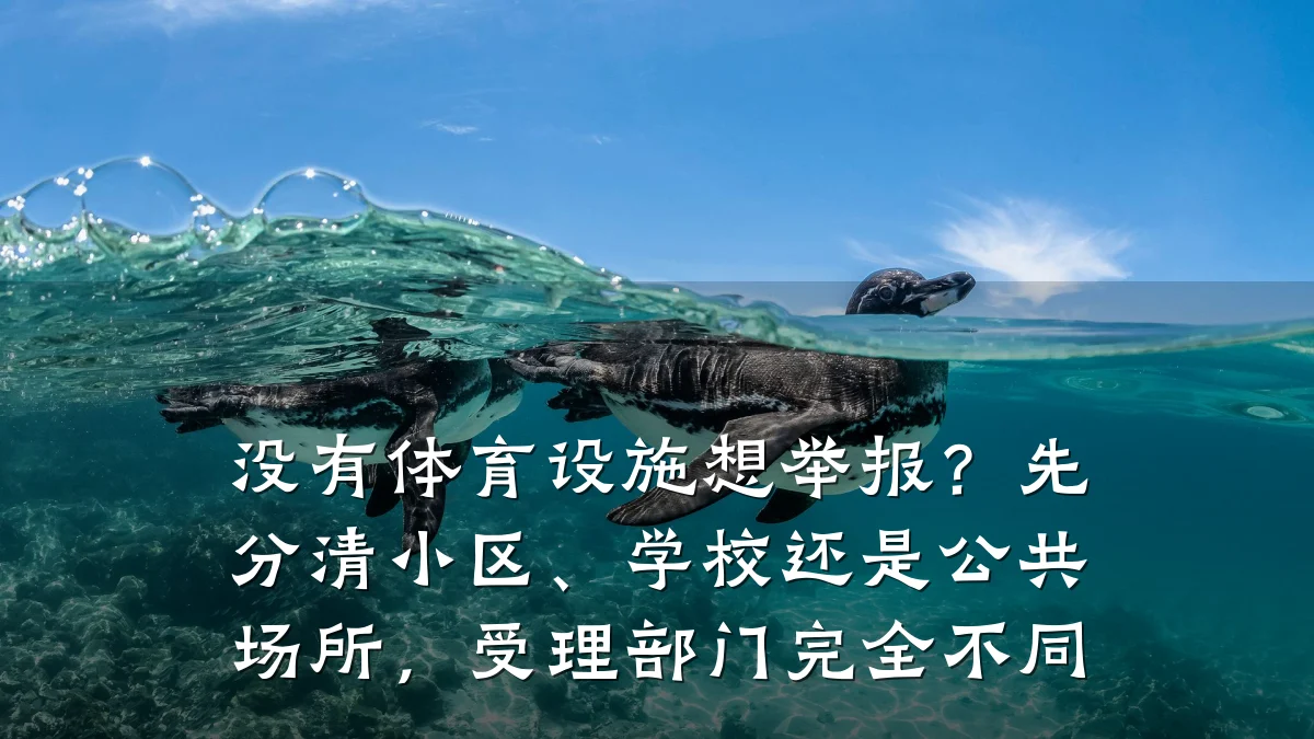 没有体育设施想举报?先分清小区、学校还是公共场所,受理部门完全不同