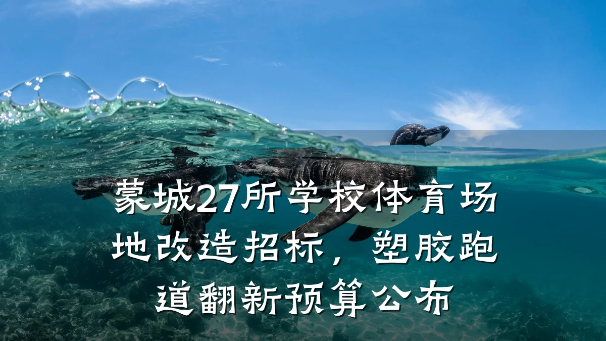 蒙城27所学校体育场地改造招标，塑胶跑道翻新预算公布
