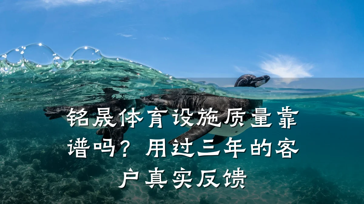 铭晟体育设施质量靠谱吗?用过三年的客户真实反馈