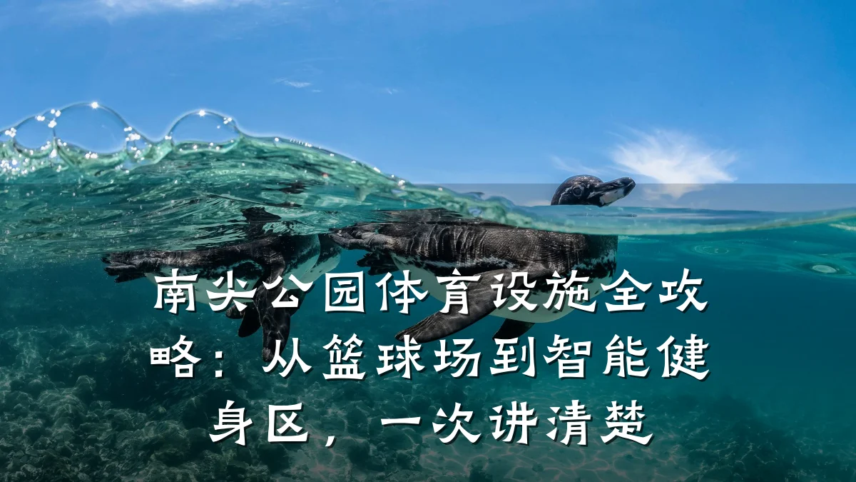 南尖公园体育设施全攻略:从篮球场到智能健身区,一次讲清楚