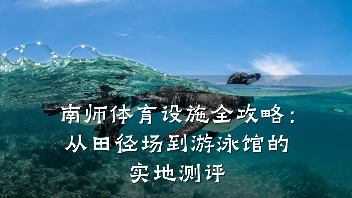 南师体育设施全攻略:从田径场到游泳馆的实地测评
