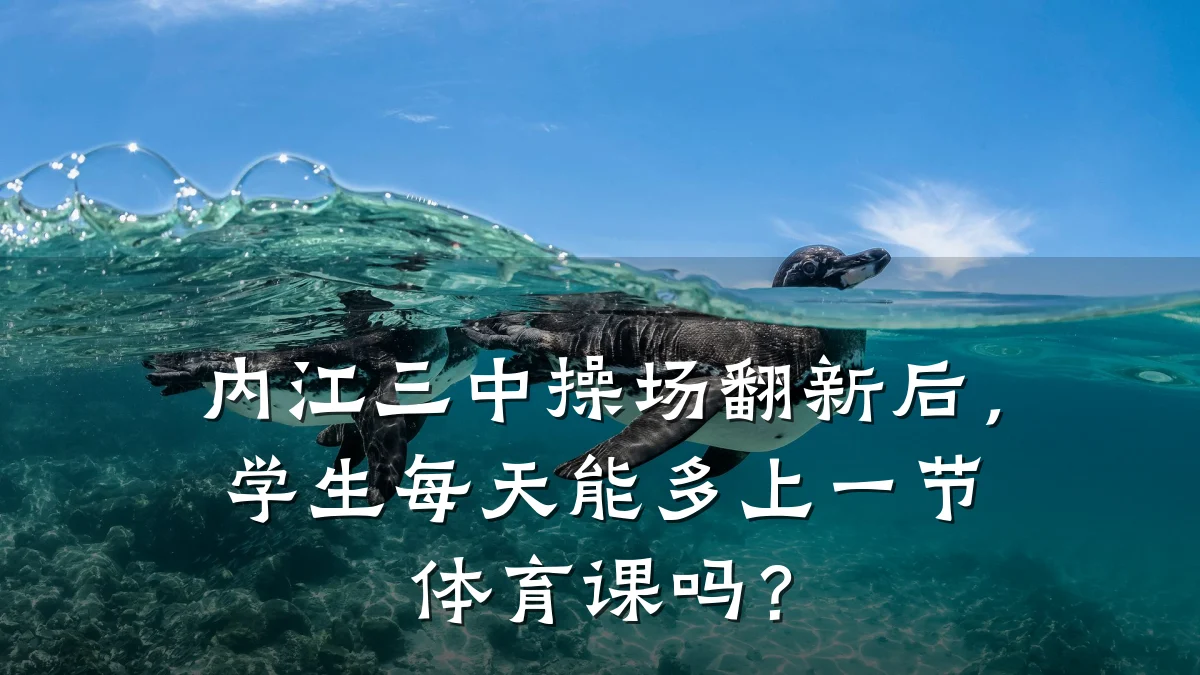 内江三中操场翻新后,学生每天能多上一节体育课吗?