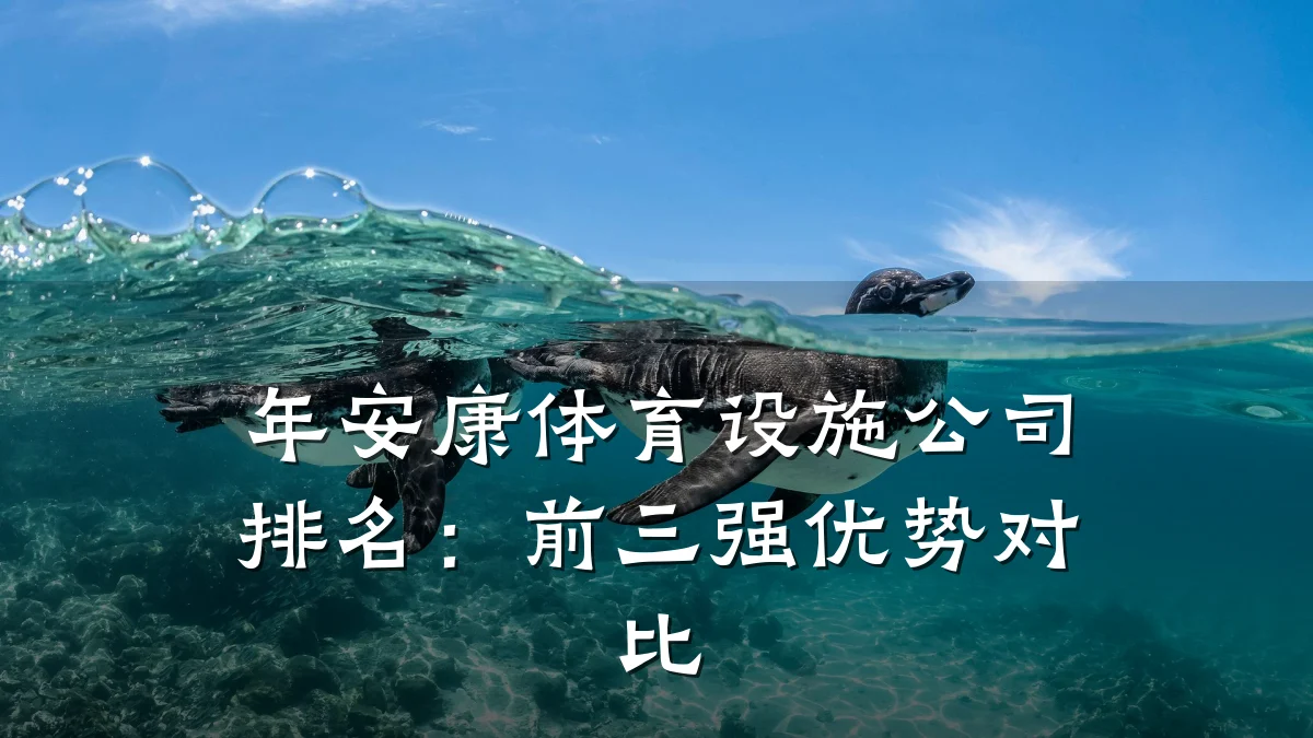 年安康体育设施公司排名:前三强优势对比