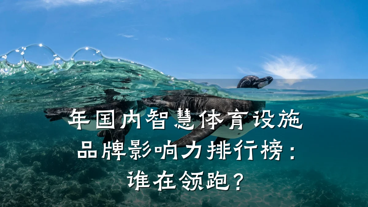 年国内智慧体育设施品牌影响力排行榜:谁在领跑?