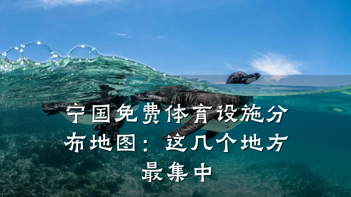宁国免费体育设施分布地图:这几个地方最集中