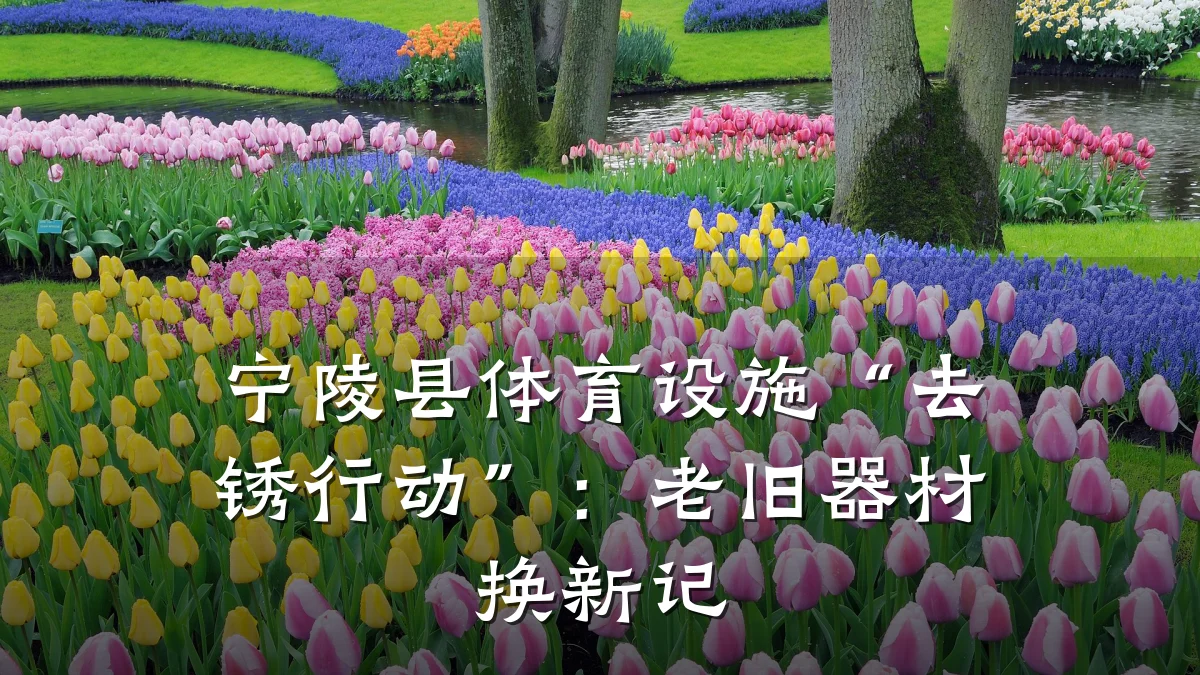 宁陵县体育设施“去锈行动”：老旧器材换新记