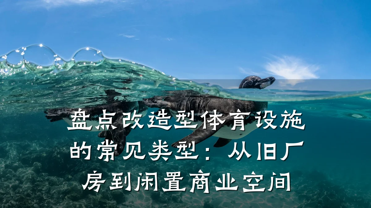 盘点改造型体育设施的常见类型:从旧厂房到闲置商业空间