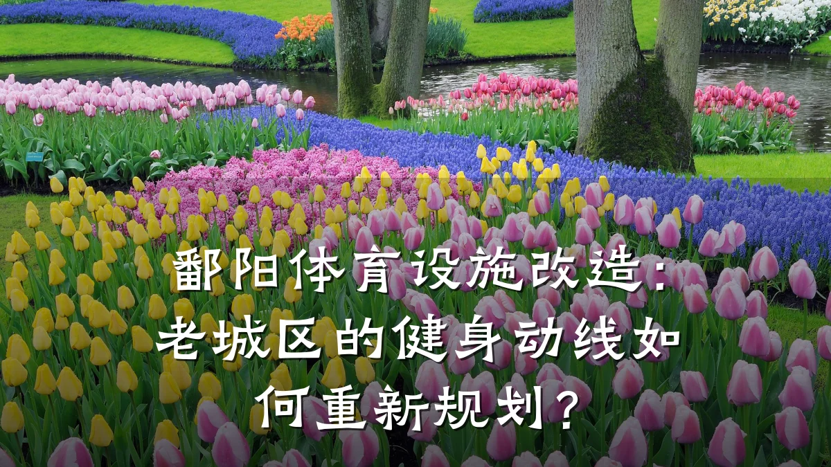 鄱阳体育设施改造:老城区的健身动线如何重新规划?