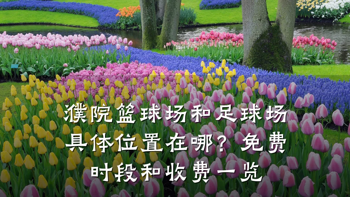 濮院篮球场和足球场具体位置在哪?免费时段和收费一览