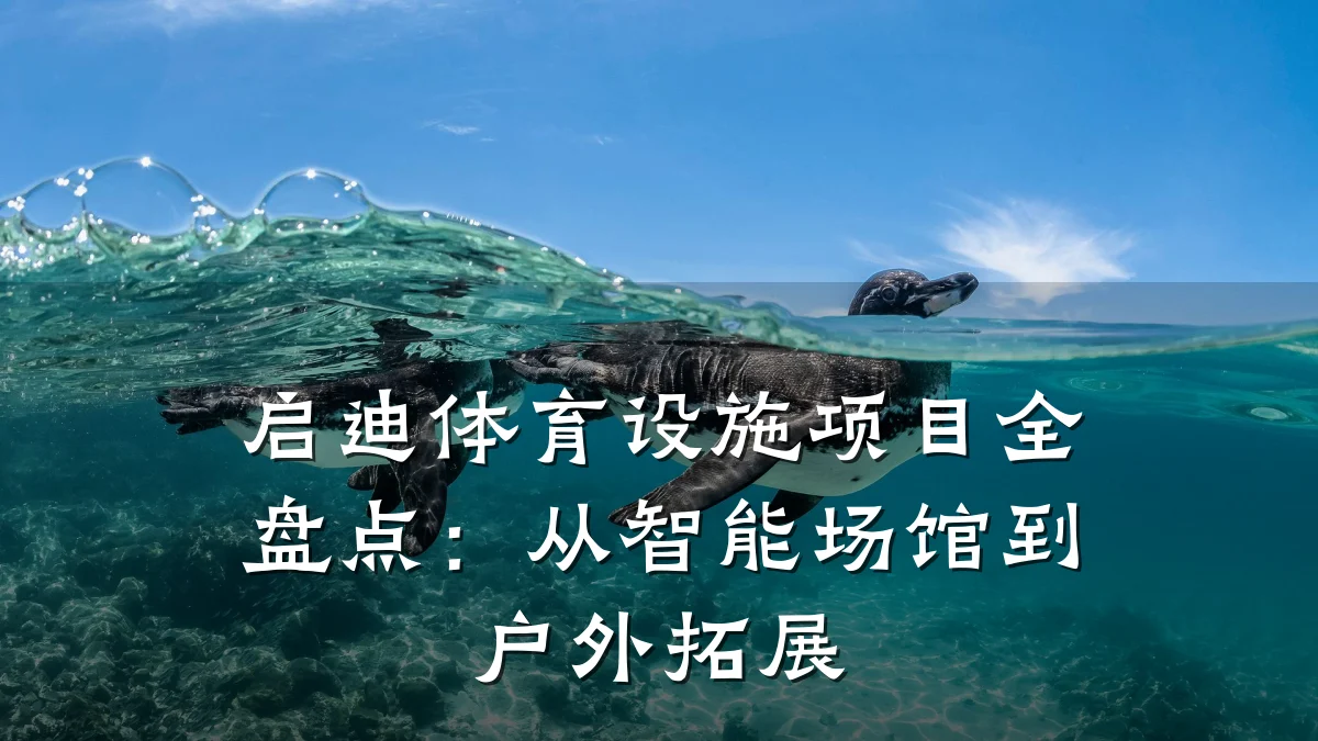 启迪体育设施项目全盘点：从智能场馆到户外拓展