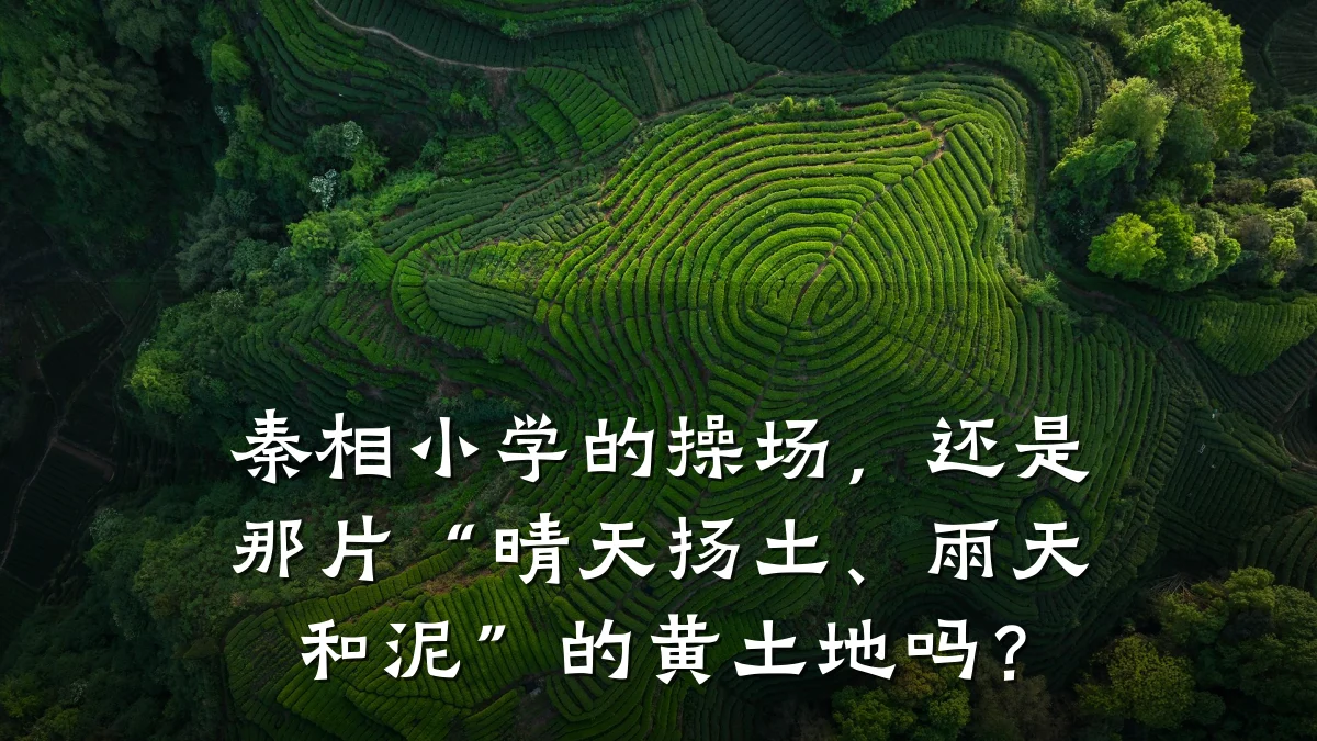 秦相小学的操场,还是那片“晴天扬土、雨天和泥”的黄土地吗?
