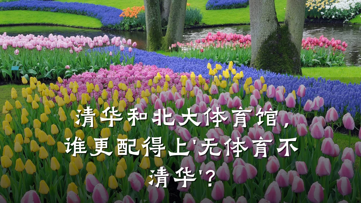 清华和北大体育馆，谁更配得上'无体育不清华'？