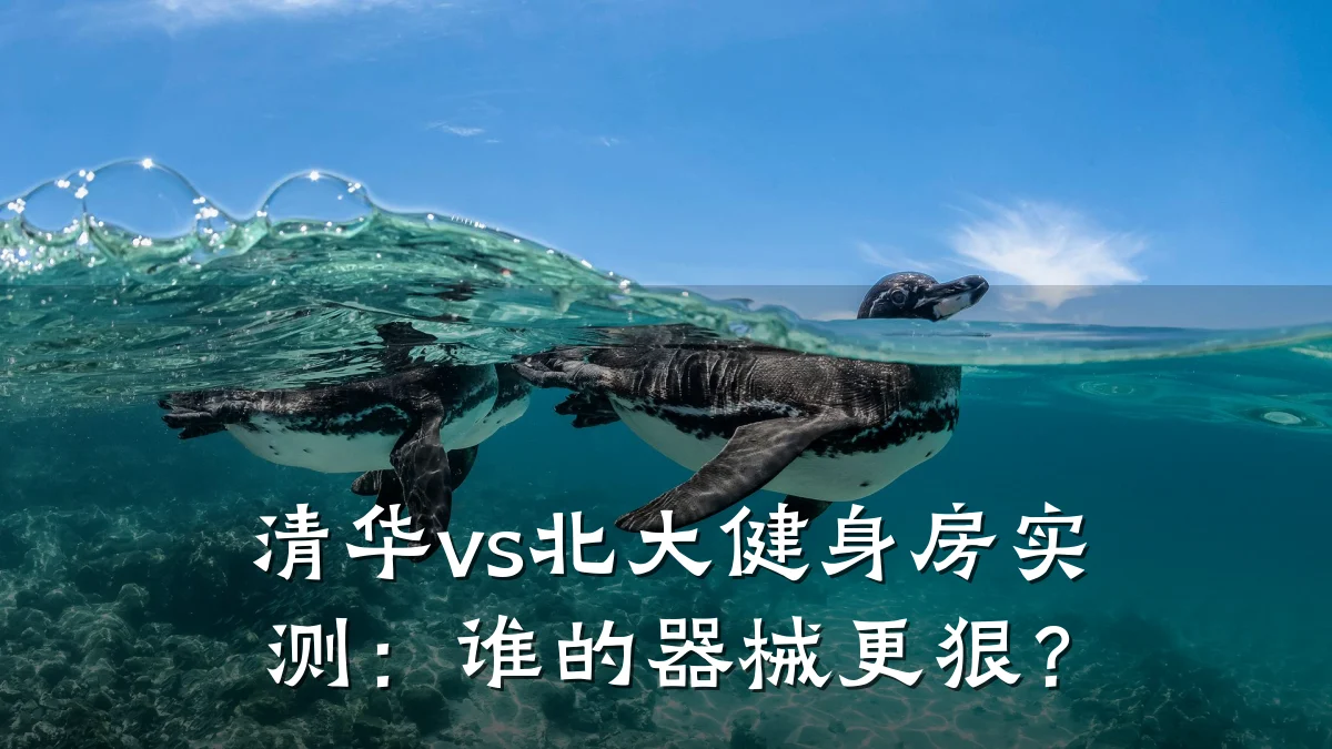 清华vs北大健身房实测:谁的器械更狠?