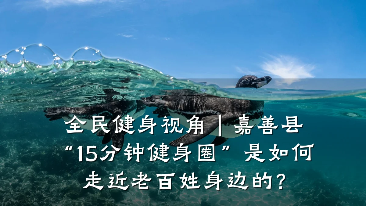 全民健身视角|嘉善县“15分钟健身圈”是如何走近老百姓身边的?