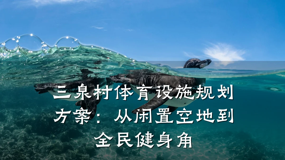 三泉村体育设施规划方案:从闲置空地到全民健身角