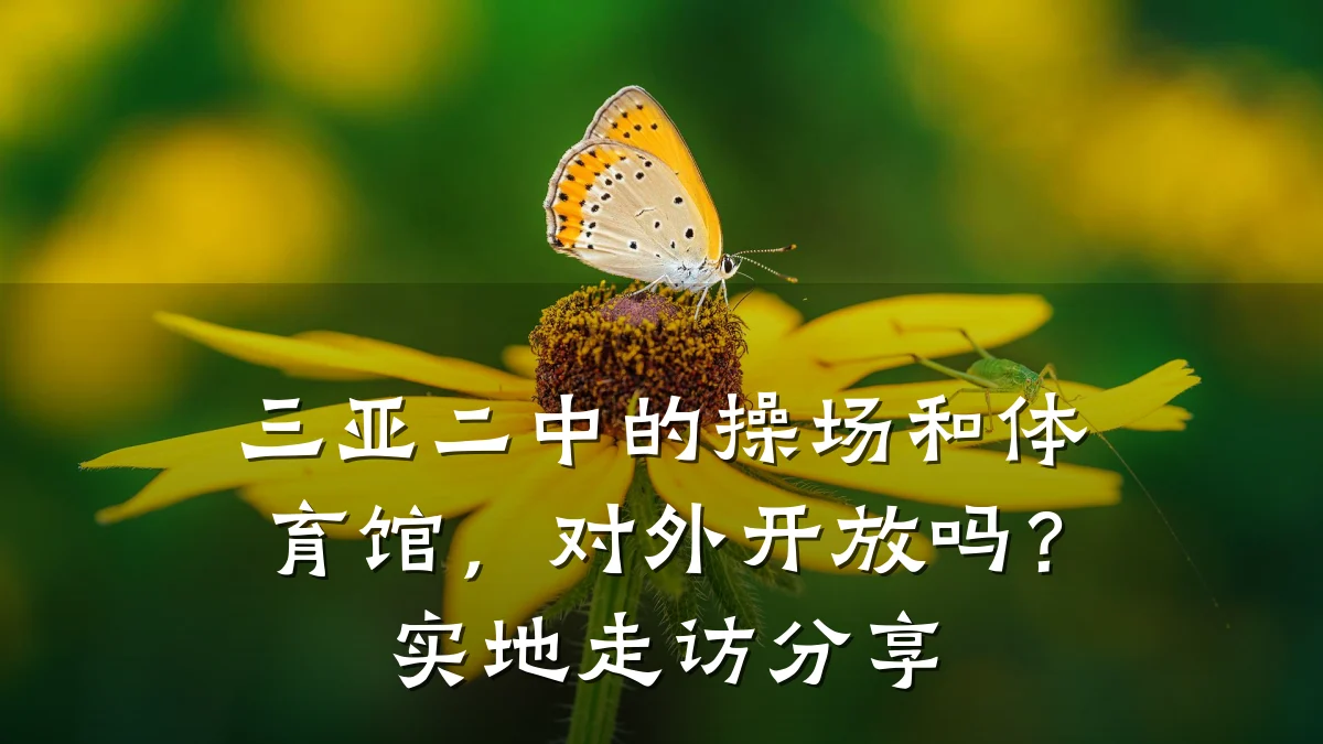 三亚二中的操场和体育馆，对外开放吗？实地走访分享