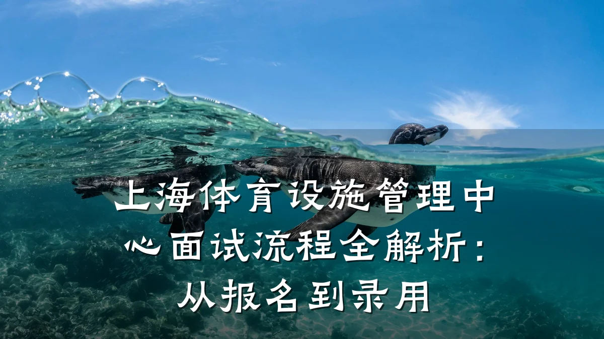 上海体育设施管理中心面试流程全解析:从报名到录用