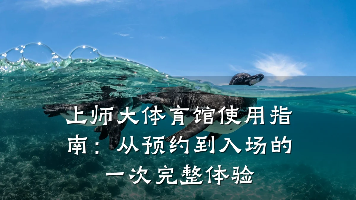 上师大体育馆使用指南:从预约到入场的一次完整体验