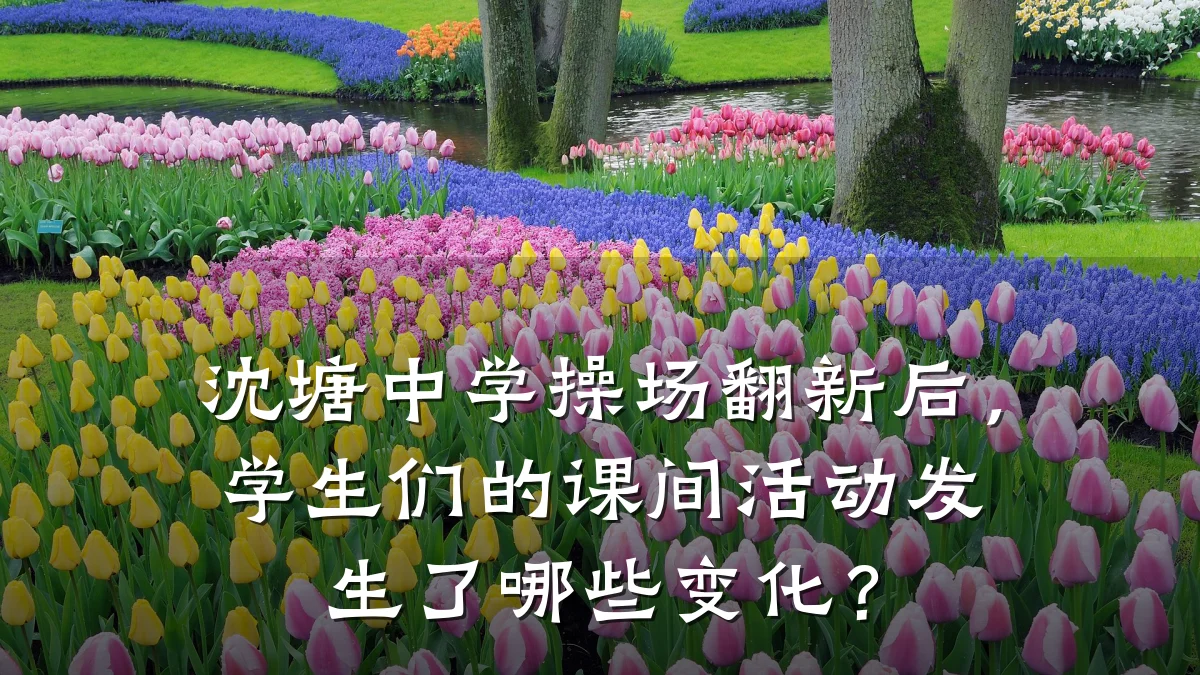 沈塘中学操场翻新后,学生们的课间活动发生了哪些变化?