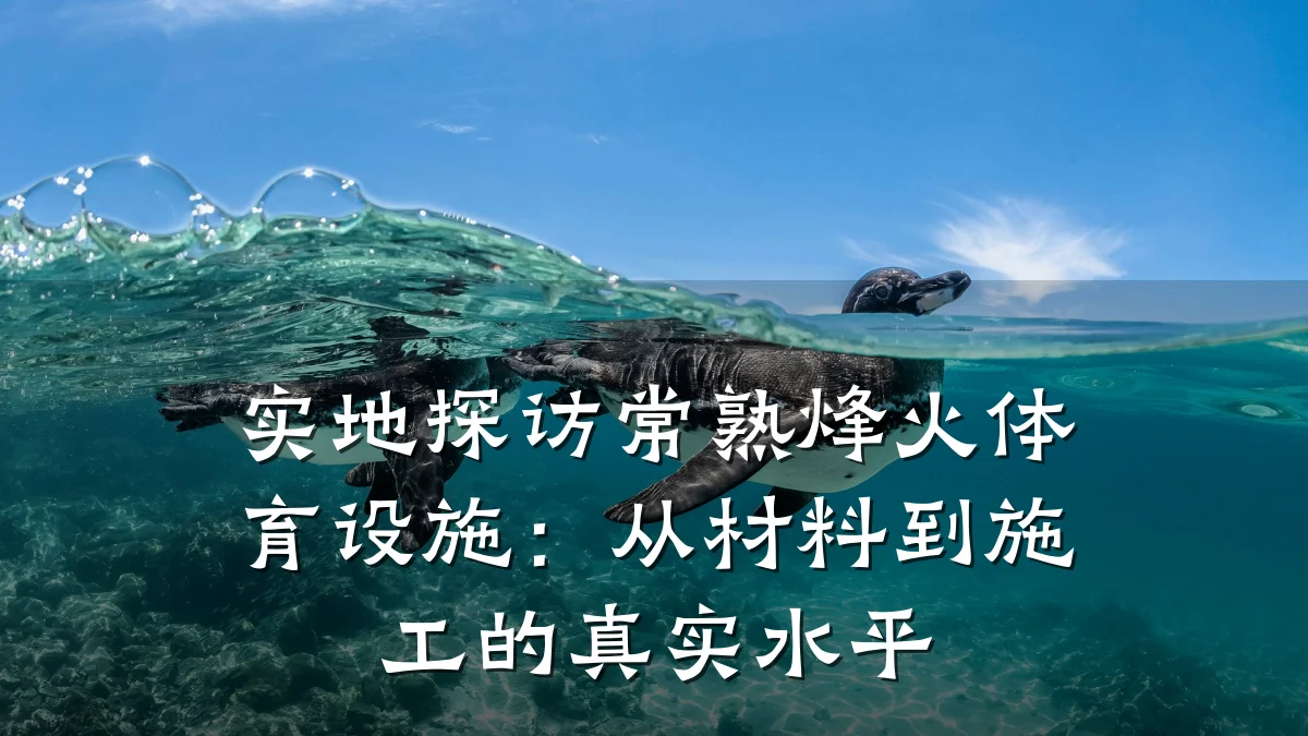 实地探访常熟烽火体育设施:从材料到施工的真实水平