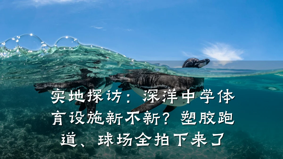 实地探访:深洋中学体育设施新不新?塑胶跑道、球场全拍下来了