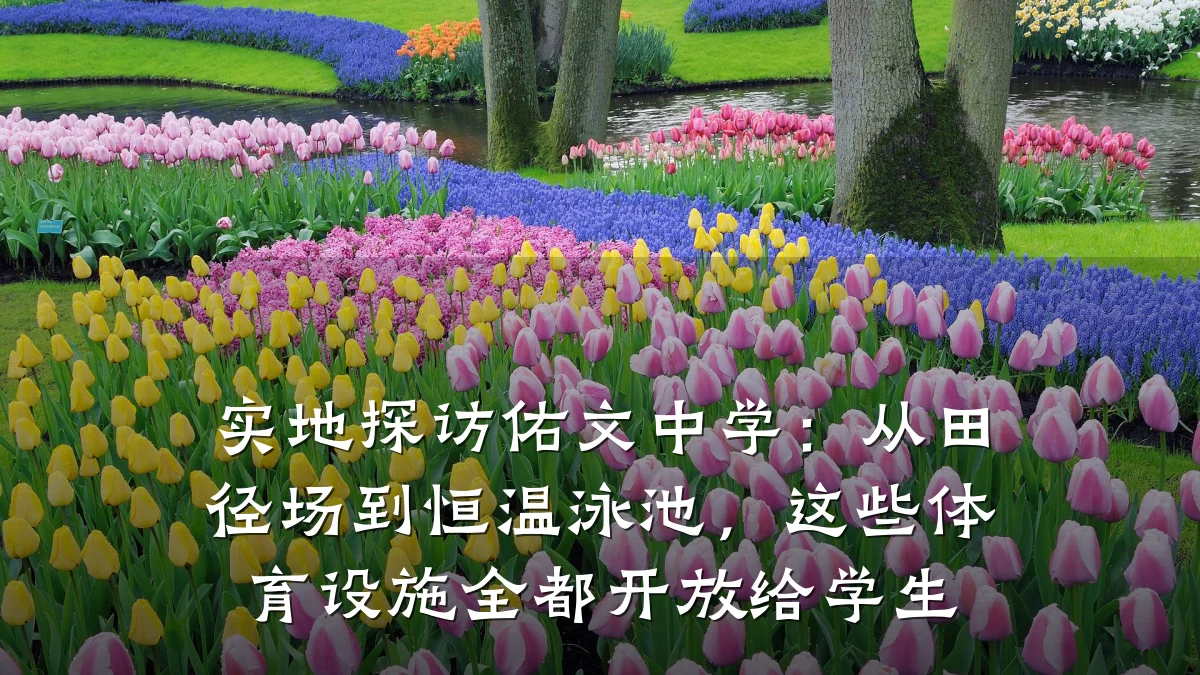 实地探访佑文中学:从田径场到恒温泳池,这些体育设施全都开放给学生