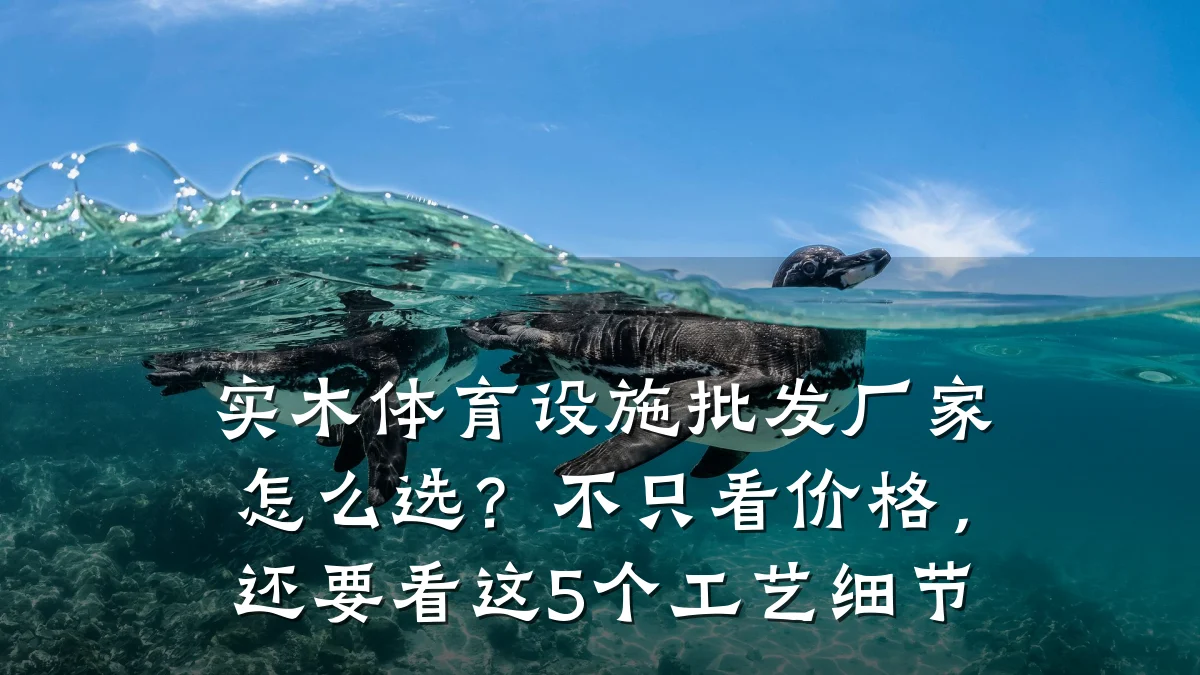 实木体育设施批发厂家怎么选?不只看价格,还要看这5个工艺细节